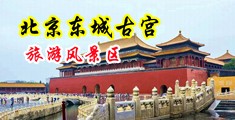 用力操我网站中国北京-东城古宫旅游风景区
